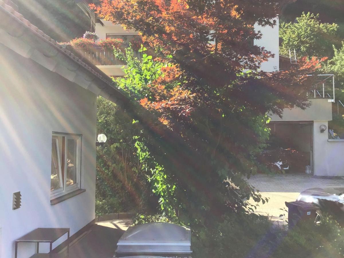 Ferienwohnung Am Eiberg Bad Wildbad Buitenkant foto